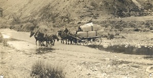 A brake loaded with wool for export fording a river.